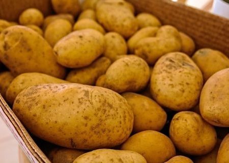 Kentang Menjadi Bahan Wajib Kuliner tradisional Peru
